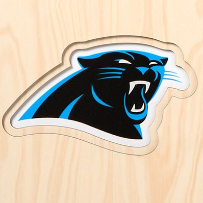 YouTheFan NFL Carolina Panthers 3D Stadium 8x32 Banner - Bank of America Stadium