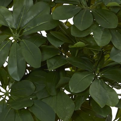 Schefflera Artificial Plant