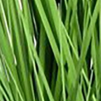 Artificial Potted Grass and Cattails.