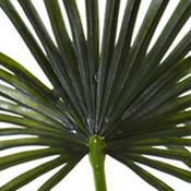 Fan Palm Tree  Indoor/Outdoor