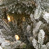 6 Foot Flocked Fraser Fir Artificial Christmas Tree with 500 Warm White Lights and 236 Bendable Branches