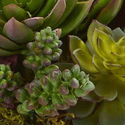 Mixed Succulent Artificial Plant