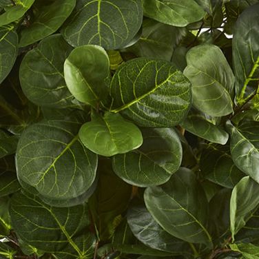 7-ft. Fiddle Leaf Fig Artificial Tree 