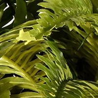 19 Inch Artificial Green Boston Fern Bush