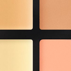 Studio Fix Conceal And Correct Palette