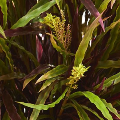 Variegated Autumn Grass Artificial Plant