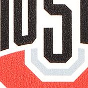 YouTheFan NCAA Ohio State Buckeyes 3D Stadium 6x19 Banner - Ohio Stadium