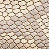 NATURAL PYTHON