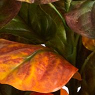 6 Foot Autumn Fiddle Leaf Artificial Tree