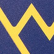 YouTheFan NCAA West Virginia Mountaineers FB 3D Stadium 6x19 Banner - Milan Puskar Stadium