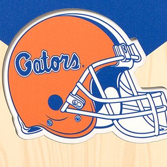 YouTheFan NCAA Florida Gators 3D Stadium 8x32 Banner - Ben Hill Griffin Stadium