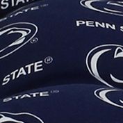 NCAA Penn State Nittany Lions Seat Cushion