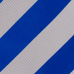 Kentucky Wildcats Regiment Tie