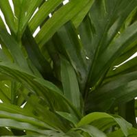 37-in. Areca Silk Plant Palm With Urn