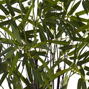 Black Bamboo Artificial Tree