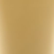 No Color