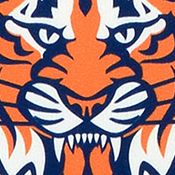 YouTheFan MLB Detroit Tigers 3D Stadium 6x19 Banner - Comerica Park