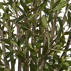 Olive Artificial Tree