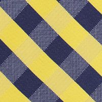 NCAA Michigan Wolverines Check Tie