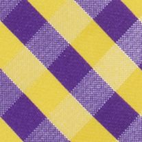 NCAA East Carolina Pirates Check Tie