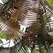 Green Fern Cotton Garland