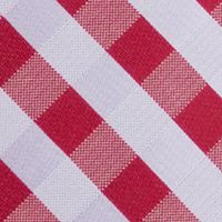 NCAA Alabama Crimson Tide Check Tie