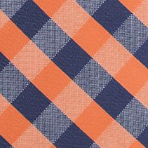 NCAA Auburn Tigers Check Tie