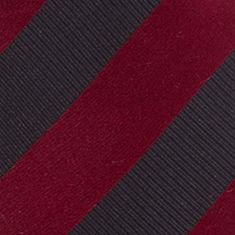 South Carolina Gamecocks Regiment Necktie