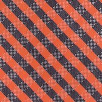 NCAA Illinois Fighting Illini Gingham Tie