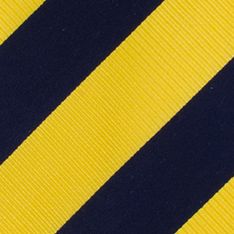 Michigan Wolverines Stripe Regiment Tie