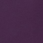 Summer Plum