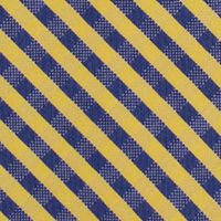 NCAA West Virginia Mountaineers Gingham Tie