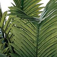 4-Foot Sago Silk Palm Tree