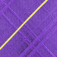 NCAA LSU Tigers Oxford Woven Tie