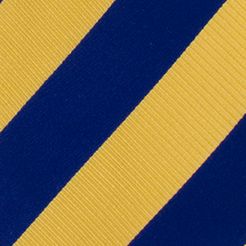 West Virginia Mountaineers Regiment Tie