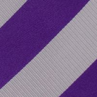 NCAA Kansas State Wildcats Regiment Tie