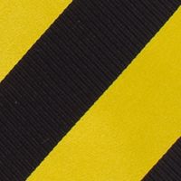 NCAA Iowa Hawkeyes Regiment Tie