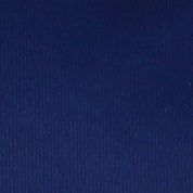 Michigan Team Color