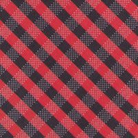 NCAA Georgia Bulldogs Gingham Tie