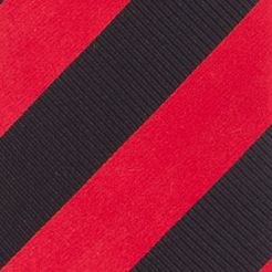 Texas Tech Red Raiders Regiment Necktie