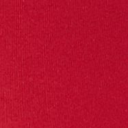 Camera Red