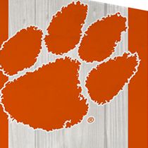 NCAA Clemson Tigers Porch Greeter