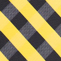 NCAA Iowa Hawkeyes Check Tie