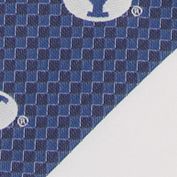 NCAA BYU Cougars Geo Stripe Tie