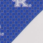 NCAA Kentucky Wildcats Geo Stripe Tie 