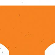 NCAA Tennessee Volunteers Plate Set 