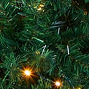 Northern Tip Pine Christmas Tree