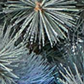 Snowy Mountain Pine Christmas Tree