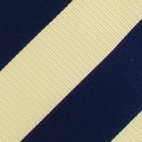 NCAA Naval Academy Midshipmen Regiment Tie