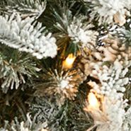 Foot Flocked North Carolina Fir Artificial Christmas Tree with Warm White Lights and Bendable Branches